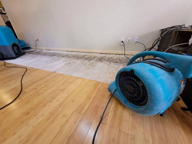 Professional Water Damage Repair technician working in Wallingford, PA